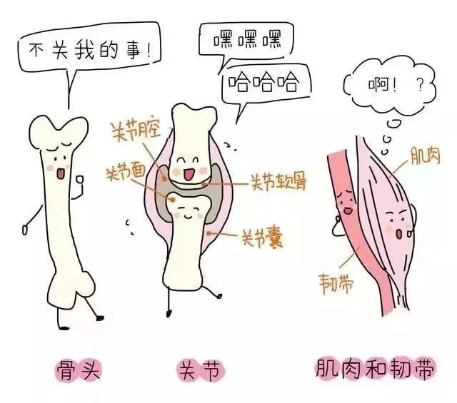 圖片關(guān)鍵詞 圖片關(guān)鍵詞