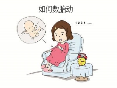 胎兒好不好，胎動全知道，數(shù)胎動的重要性